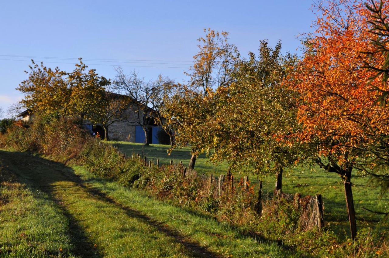 Terres De La Grange Bed & Breakfast Cuisiat Luaran gambar